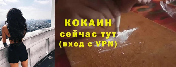 стаф Алзамай