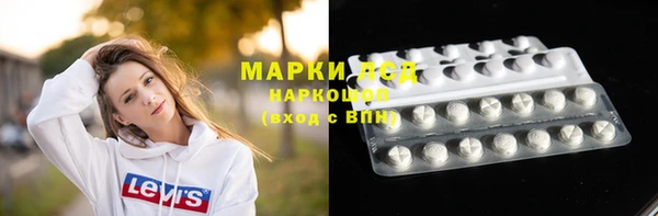 стаф Алзамай