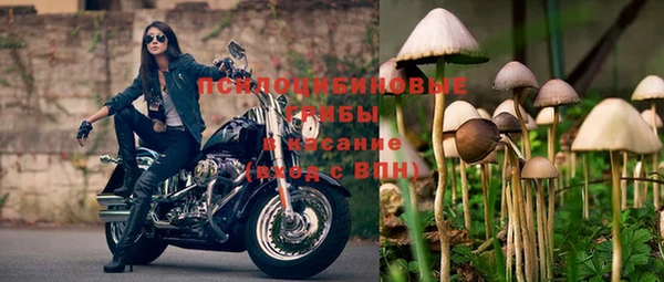 амфетамин Алексин