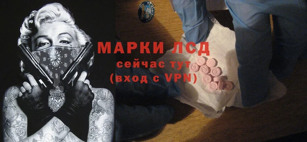 стаф Алзамай